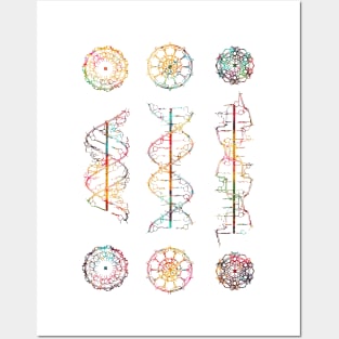 A-,B-, and Z-DNA Posters and Art